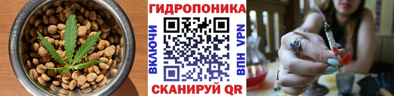 Cannafood конопля  blacksprut как войти  Новошахтинск 