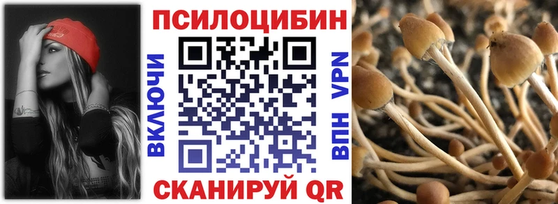 наркота  Новошахтинск  OMG зеркало  Псилоцибиновые грибы мухоморы 